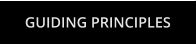 GUIDING PRINCIPLES